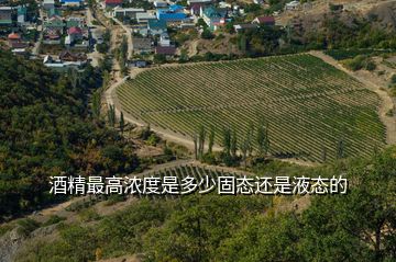 酒精最高濃度是多少固態(tài)還是液態(tài)的