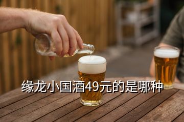 緣龍小國酒49元的是哪種