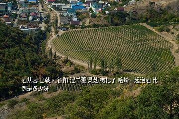 酒蓯蓉 巴戟天 鎖陽(yáng) 淫羊藿 靈芝 枸杞子 哈蚧一起泡酒 比例是多少呀