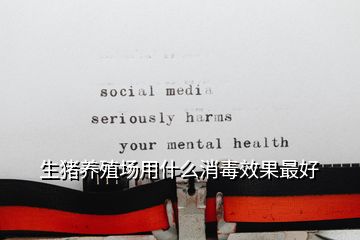 生豬養(yǎng)殖場用什么消毒效果最好