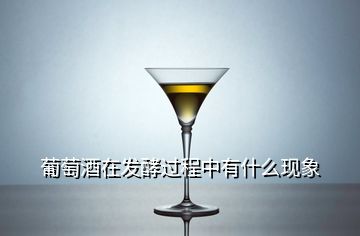 葡萄酒在發(fā)酵過程中有什么現(xiàn)象