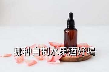 哪種自制水果酒好喝