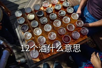 12個(gè)酒什么意思