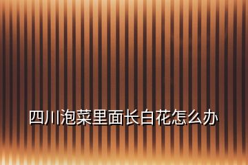 四川泡菜里面長白花怎么辦