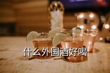 什么外國酒好喝