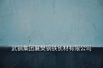 武鋼集團(tuán)襄樊鋼鐵長(zhǎng)材有限公司