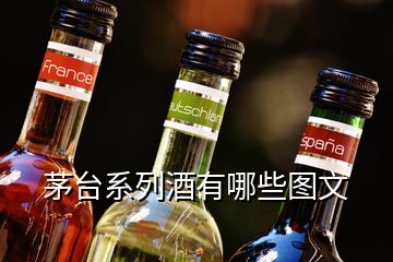 茅臺(tái)系列酒有哪些圖文