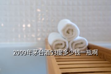 2009年茅臺酒53度多少錢一瓶啊