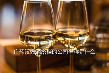 廣藥漢方酒搭檔的公司全稱(chēng)是什么