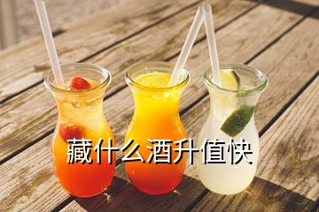 藏什么酒升值快