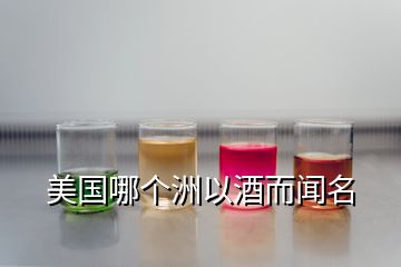 美國(guó)哪個(gè)洲以酒而聞名