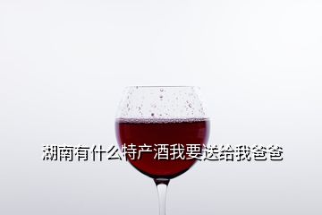 湖南有什么特產(chǎn)酒我要送給我爸爸