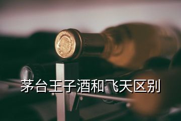 茅臺(tái)王子酒和飛天區(qū)別