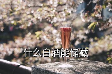 什么白酒能儲(chǔ)藏