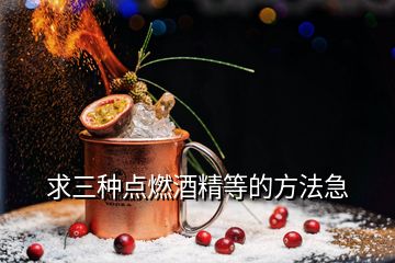 求三種點燃酒精等的方法急