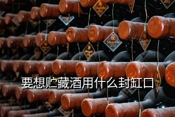 要想貯藏酒用什么封缸口