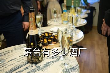 茅臺(tái)有多少酒廠