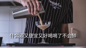 什么酒又便宜又好喝喝了不會醉