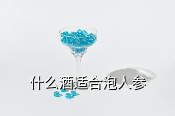 什么酒適合泡人參