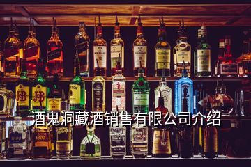 酒鬼洞藏酒銷售有限公司介紹