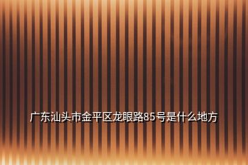 廣東汕頭市金平區(qū)龍眼路85號(hào)是什么地方