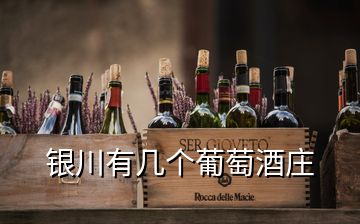 銀川有幾個葡萄酒莊