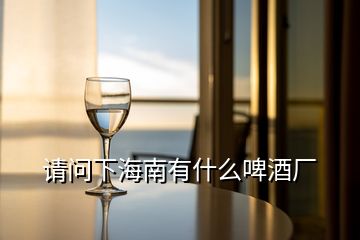 請(qǐng)問下海南有什么啤酒廠