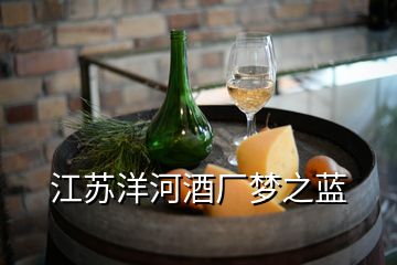 江蘇洋河酒廠夢(mèng)之藍(lán)