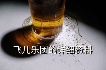 飛兒樂(lè)團(tuán)的詳細(xì)資料