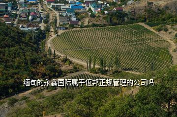 緬甸的永鑫國(guó)際屬于佤邦正規(guī)管理的公司嗎