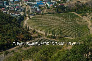 洋河品牌下的藍(lán)窖坊怎么樣這個是洋河酒廠下的品牌嗎