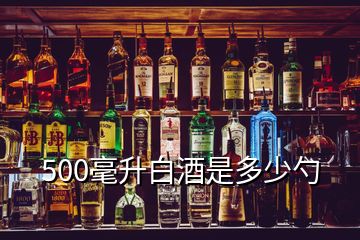 500毫升白酒是多少勺