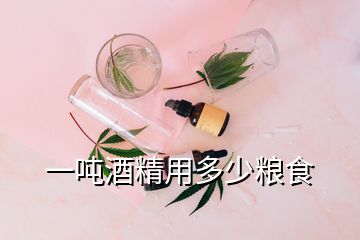 一噸酒精用多少糧食