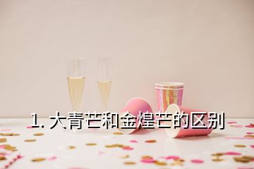 1. 大青芒和金煌芒的區(qū)別