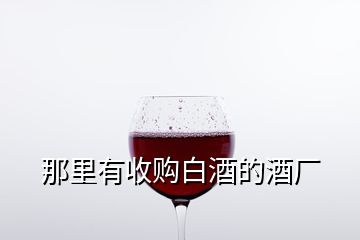 那里有收購(gòu)白酒的酒廠