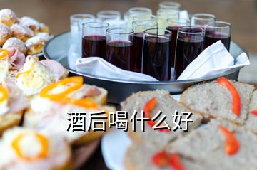 酒后喝什么好