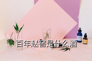 百年趙窖是什么酒