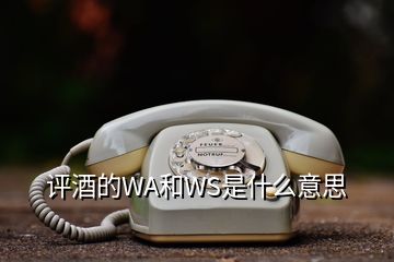 評酒的WA和WS是什么意思