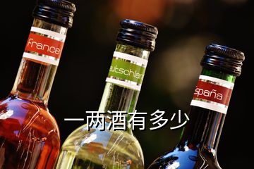 一兩酒有多少