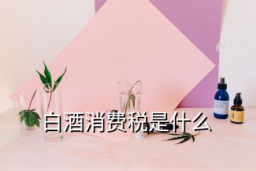 白酒消費稅是什么