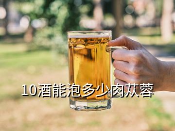 10酒能泡多少肉蓯蓉