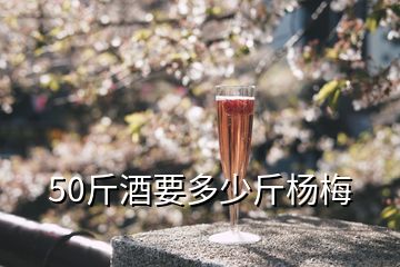 50斤酒要多少斤楊梅