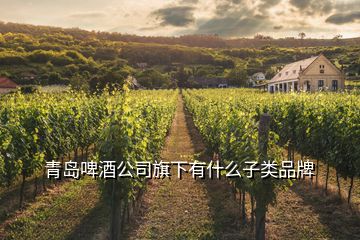 青島啤酒公司旗下有什么子類(lèi)品牌