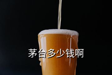 茅臺(tái)多少錢(qián)啊