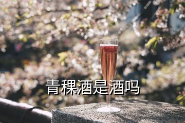 青稞酒是酒嗎