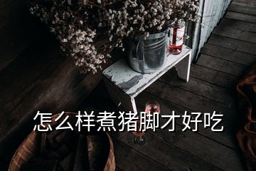 怎么樣煮豬腳才好吃