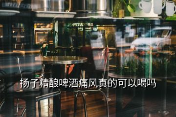 揚子精釀啤酒痛風真的可以喝嗎