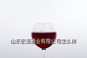 山東宏源酒業(yè)有限公司怎么樣