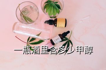 一瓶酒里含多少甲醇