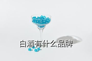 白酒有什么品牌